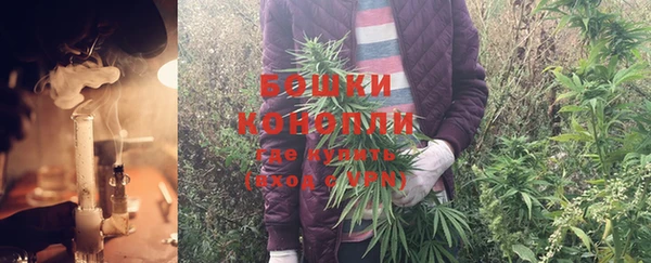 соль ск Новодвинск