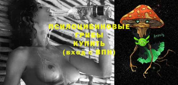 прущий лед Нея