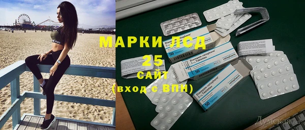 прущий лед Нея