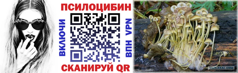 Псилоцибиновые грибы MAGIC MUSHROOMS  Туймазы 