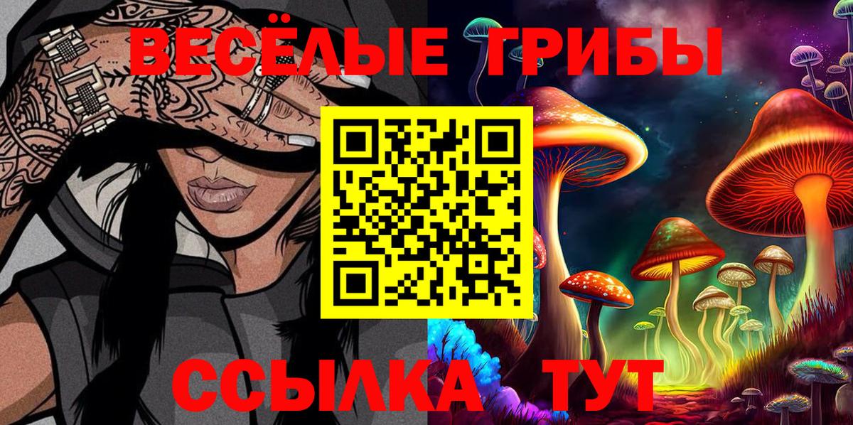 Галлюциногенные грибы прущие грибы  где можно купить наркотик  Вход с VPN  Туймазы  Галлюциногенные грибы мицелий 